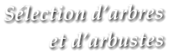 S�lection d�arbres  et d�arbustes